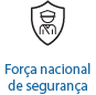 Força Nacional de Segurança