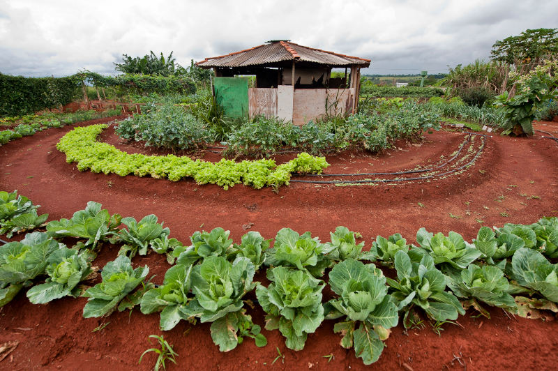 Após o golpe, incentivos a agricultores familiares foram cortados e programas de acesso à crédito interditados. | Foto: Ministério do Desenvolvimento Social (MDS)